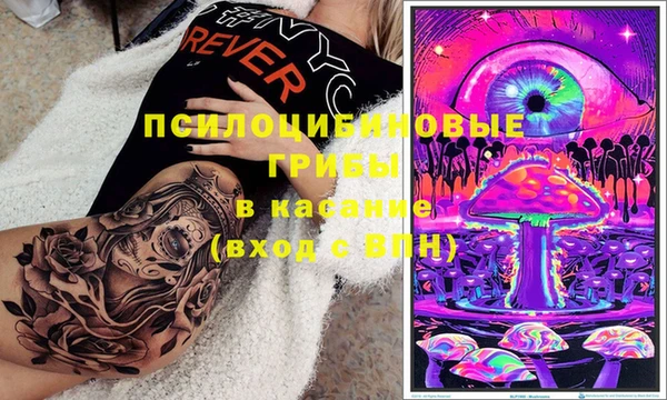 ГАЛЛЮЦИНОГЕННЫЕ ГРИБЫ Алзамай