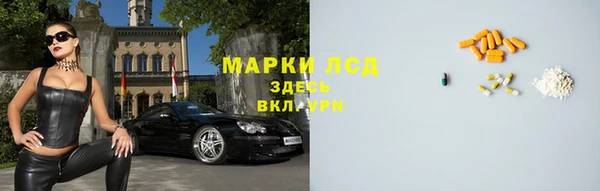 ГАЛЛЮЦИНОГЕННЫЕ ГРИБЫ Алзамай