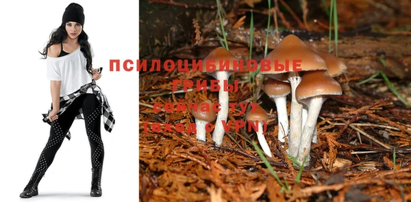 не бодяженный Алексин
