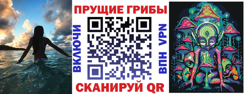 Галлюциногенные грибы Psilocybe  мориарти клад  Фролово 