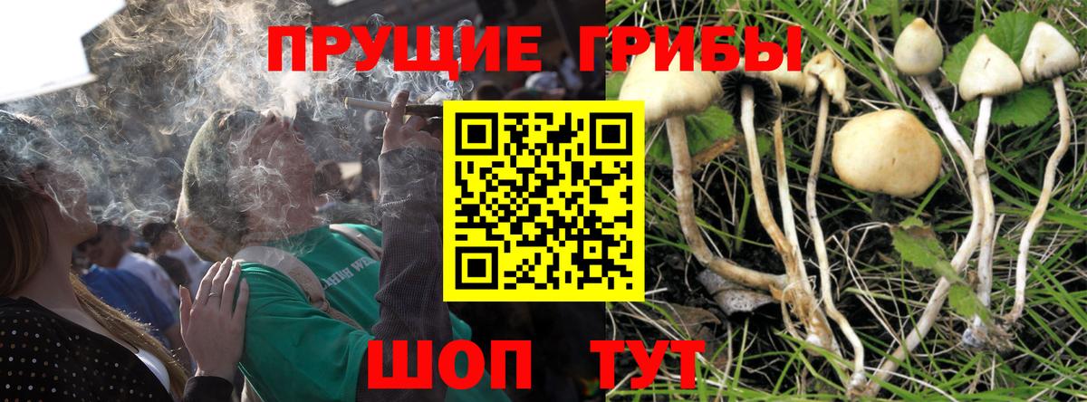 Галлюциногенные грибы ЛСД Фролово