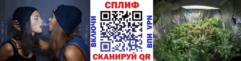 цена наркотик  Фролово  Шишки марихуана гибрид 
